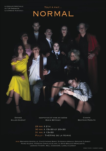 Tout à fait...normal / Festival du TJP - Théâtre et arts vivants - Café-Théâtre de la Voirie