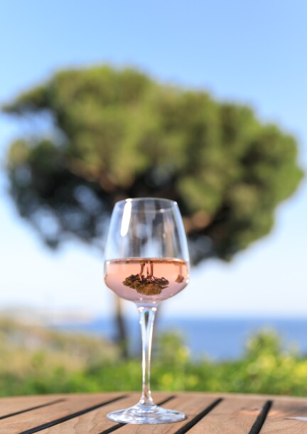 La Provence dans votre verre : soirée accords mets & vins - Formations - Chez Maud