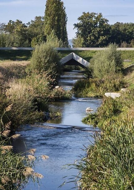 Immersion dans les biotopes de l'Aire et spectacle de danse "A l'aune" - Balades et visites - Bords de l'Aire