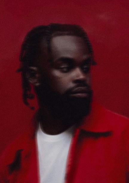 Mansur Brown - Festivals