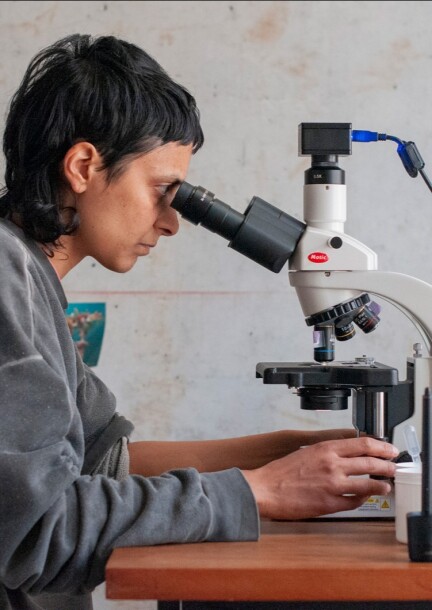 Worlding Mycelium - Concerts - Maison communale de Plainpalais