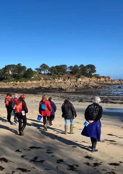 Les algues au souffle de l'Océan: Equinoxe de printemps en Bretagne - Talleres y pasantías - Île Callot, Bretagne