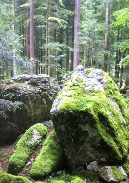 Visite de lieux énergétiques aux sources de l'Orbe à Vallorbe - Balades et visites - Vallorbe