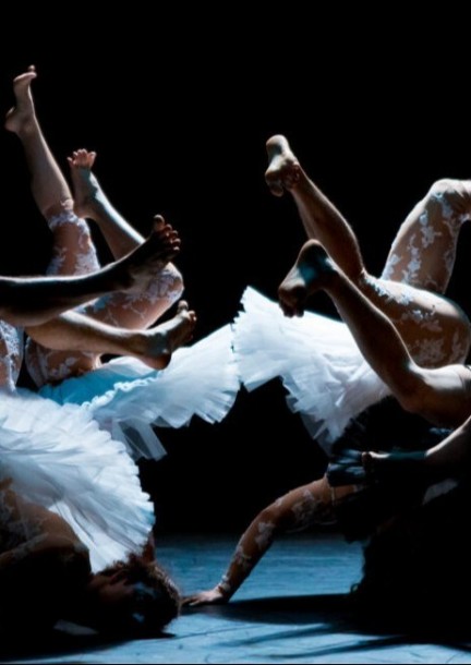 Spectacle "Le lac des cygnes" - Workshops and courses