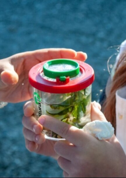 Exposition “Duchamp au lac” - Vernissage des travaux des élèves des écoles de Confignon et Bernex - Expos et musées - Ecole de Luchepelet