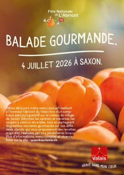 Balade E-bike - Walks and visits