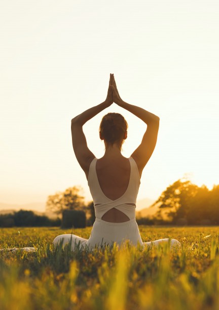 Cours : Āyurveda & Yoga -  Les cinq éléments et les doṣas en état d’équilibre - Formations - Ecole d'Ayurveda (Denges)
