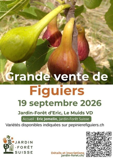 Vente de figuiers - Ateliers et stages - Jardin-Forêt d'Eric