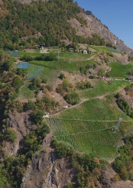 Tavolata - Domaine de Beudon  Les Vignes dans le Ciel" - Loisirs - Domaine de Beudon