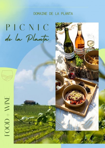 Picnic gastronomico al Domaine de la Planta - Svaghi