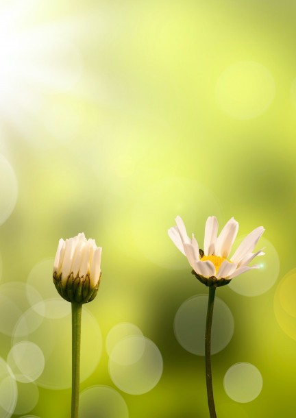 Portes ouvertes du printemps : Présentation de l'école - Formations - École d'Āyurveda (Saint-Prex)