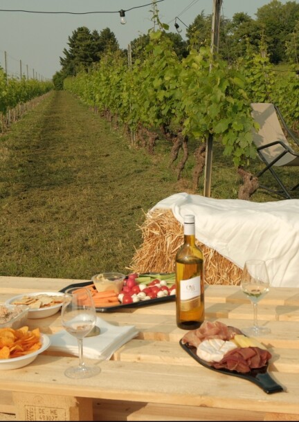 Vinapéro - Loisirs - Coteau de Bernex