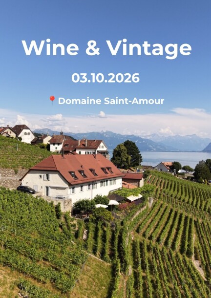 Wine & Vintage - Festivals - Domaine St Amour, Chenaux