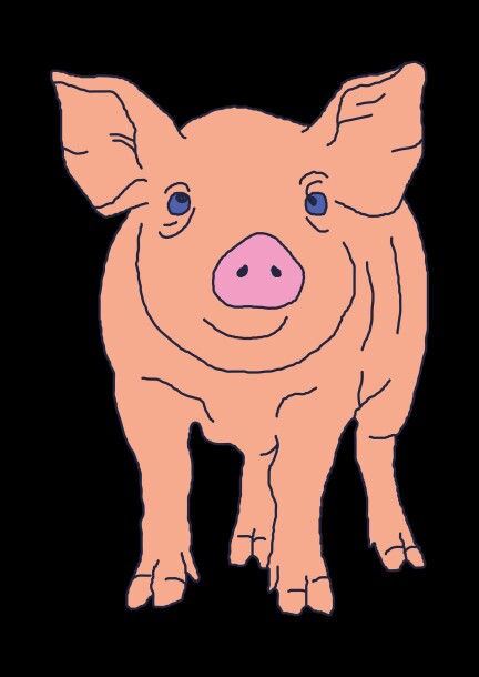 Le cochon enchanté - Theatre and performing arts - Thêatre Am Stram Gram