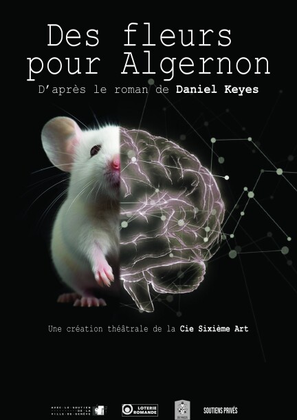 Des fleurs pour Algernon - par la Cie Sixième Art - Théâtre et arts vivants - Théâtre de l'Atelier, Salle Reconvilier