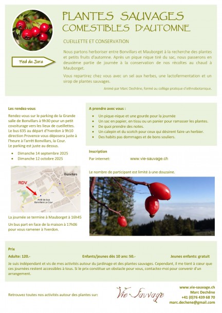 Faire ses conserves de plantes sauvages - Ateliers et stages