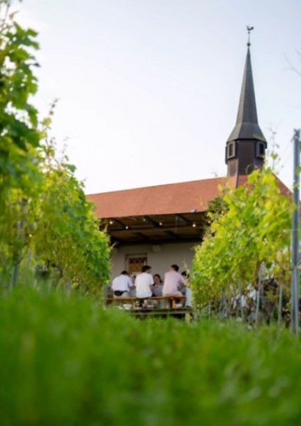 Les Pépites des Vignes - Balades et visites - Chez les vigneronnes