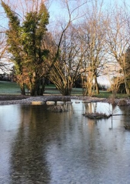 La balade des trésors cachés 2.0 - Balades et visites - Divers lieux - RDV dans le parc de la Mairie de Confignon
