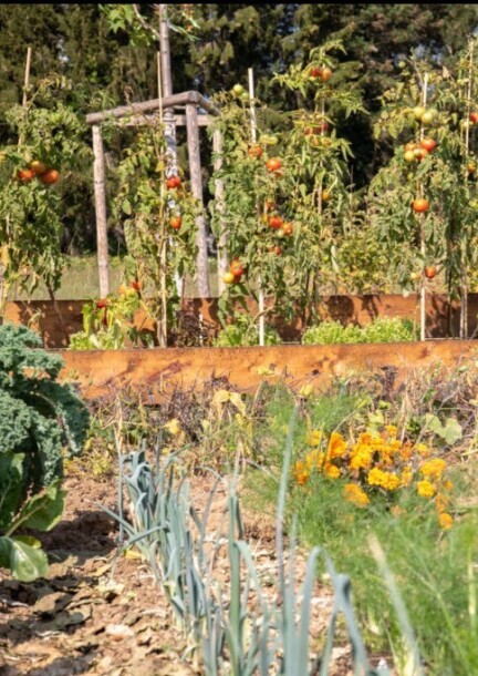 Initiation jardinage & compostage au Matgesfeld à Sanem (LU) - Familie - Matgesfeld