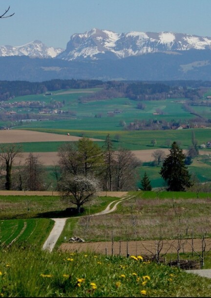 De Mauvernay à Ropraz : le Jorat en traversée - Balades et visites - Centre sportif de Mauvernay