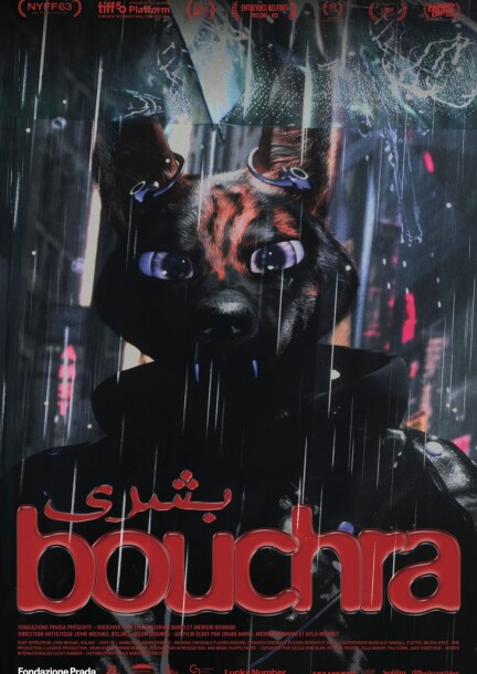 Bouchra - Cinema - Paderewski
