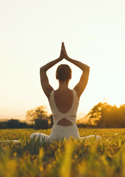 Cours : Yoga & Āyurveda -  Les cinq éléments et les doṣas en état d’équilibre - Formations - Ecole d'Ayurveda (Denges)