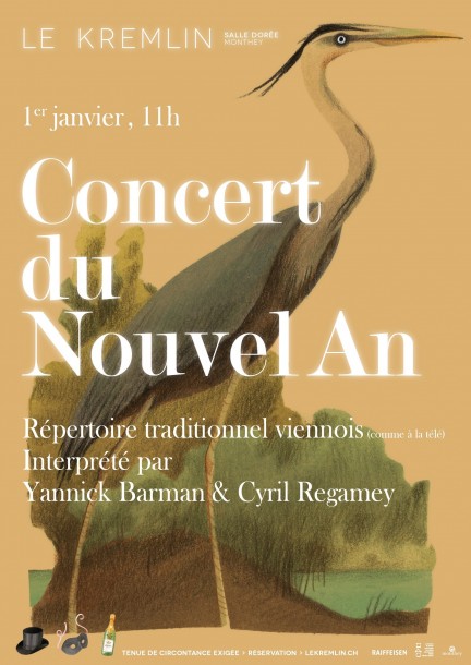 CONCERT DU NOUVEL AN - Konzerte