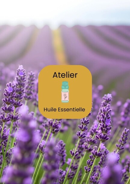 Atelier huiles essentielles - Workshops und Praktika - La Julienne - Annexe
