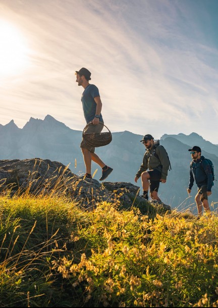 Journée Althea "Bien vieillir avec les plantes" - Formations