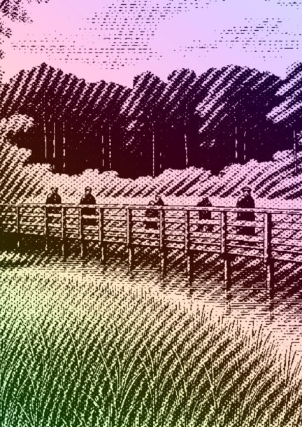 Promenade botanique à Versoix - Balades et visites - Cabane des Bûcherons, Bois des Douves