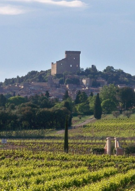 La verticale | Châteauneuf-du-Pape | Les dégustations de la Foire - Svaghi