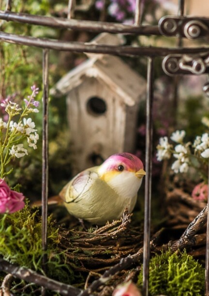 Atelier enfant La cage à oiseaux "enchantée" - Ateliers et stages - Garden Centre Schilliger