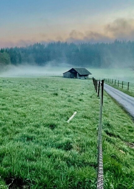 De Mauvernay à Ropraz : le Jorat en traversée - nouvelle date - Balades et visites - Centre sportif de Mauvernay