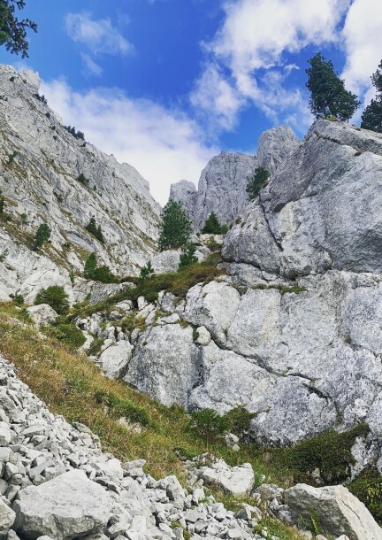 Les cailloux qui décoiffent le temps -  Randonnée géologique - Leisure activities - Office du Tourisme des Diablerets