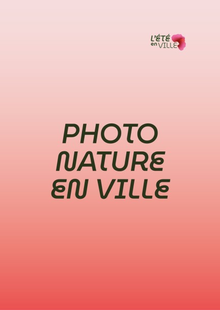 Atelier photo - nature en ville - Workshops und Praktika - Mont-Blanc 29
