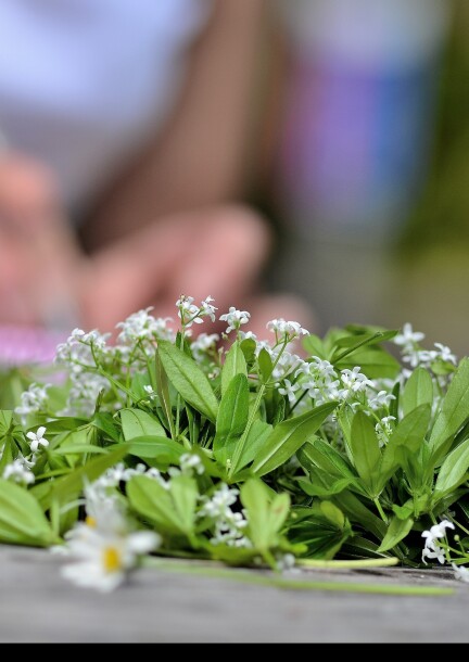 A la découverte des plantes par les sens - Ateliers et stages - Salle polyvalente de la Jeur