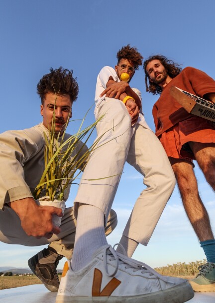 Mellow Yellow - Cultura e spettacoli - l'Elastique citrique