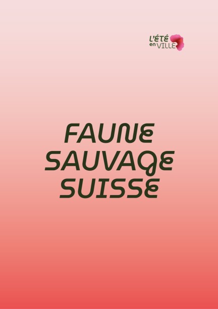 Dessin d’animaux de la faune sauvage suisse - Ateliers et stages - Mont-Blanc 29