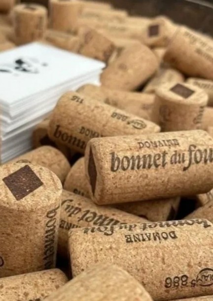 Domaine du Bonnet du Fou, Twann | Les dégustations de la Foire - Svaghi