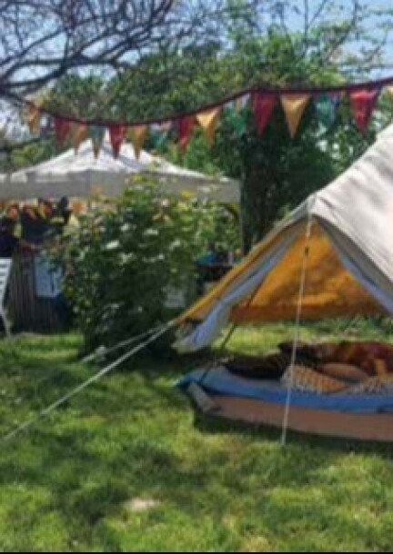 Une après-midi au verger - Family - Verger oublié