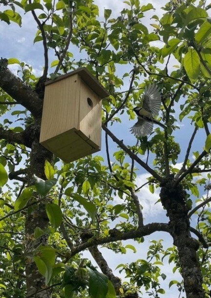 Fabrication d'abris pour la petite faune - Workshops and courses - Parc Briefer