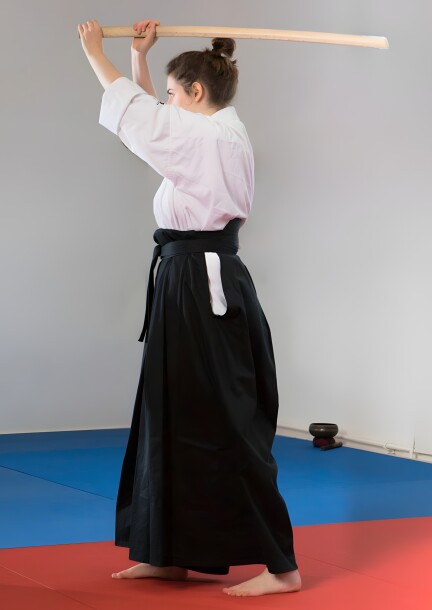 Initiation à l’Aïkido et au Bokken - Ateliers et stages - La Cité Bleue