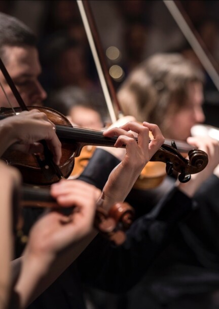 Ensemble Musica'Léman en format orchestre de chambre - Musique classique - Salle de l'Esplanade à Aubonne
