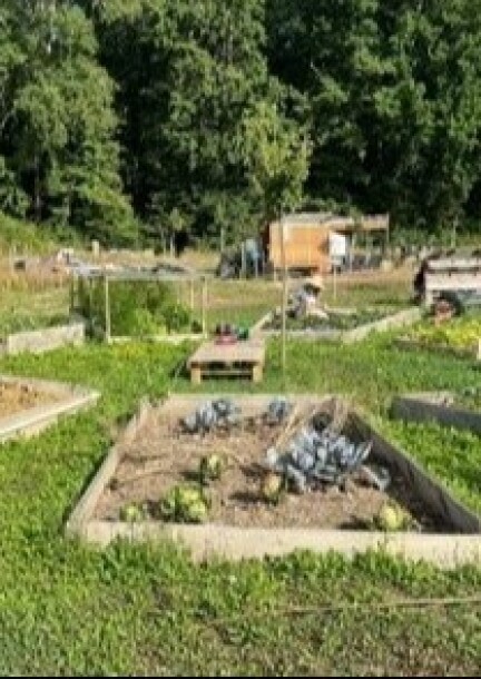 Atelier "De la biodiversité à l'assiette" - Walks and visits - Jardins des Jeunes