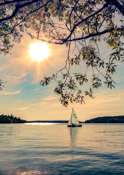 Qui sont les doṣas ? - Formations - École d'Āyurveda (Saint-Prex)