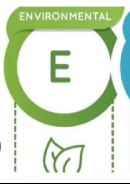 ESG Berichte, wie funktioniert das? - Training courses