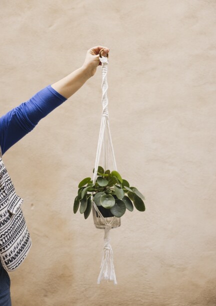 Atelier Macramé - Suspension - Ateliers et stages