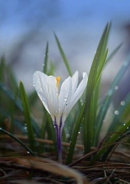 Ralentir pour mieux repartir - Ateliers et stages - L'archipel