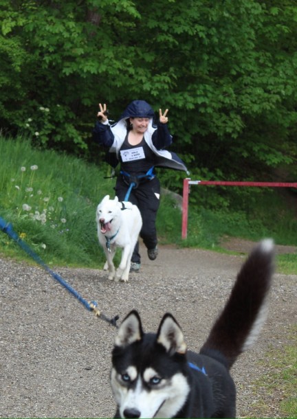 Rallye canin Mario the Kart Dog - Sport