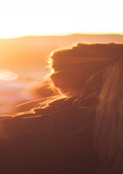 SOIREE 100% ELLES - Freizeitbeschäftigungen - Salle de l'Eau Vive